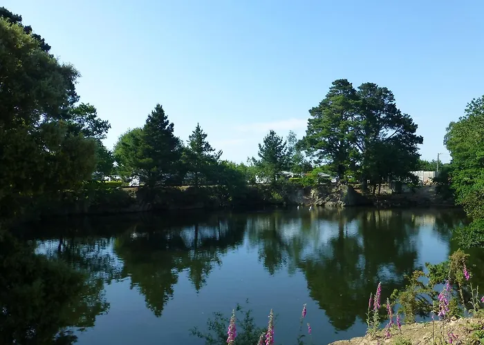 Campingplads Eden 4*