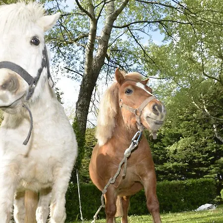 אתר קמפינג Eden 4*